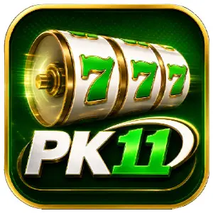 PK11 Game